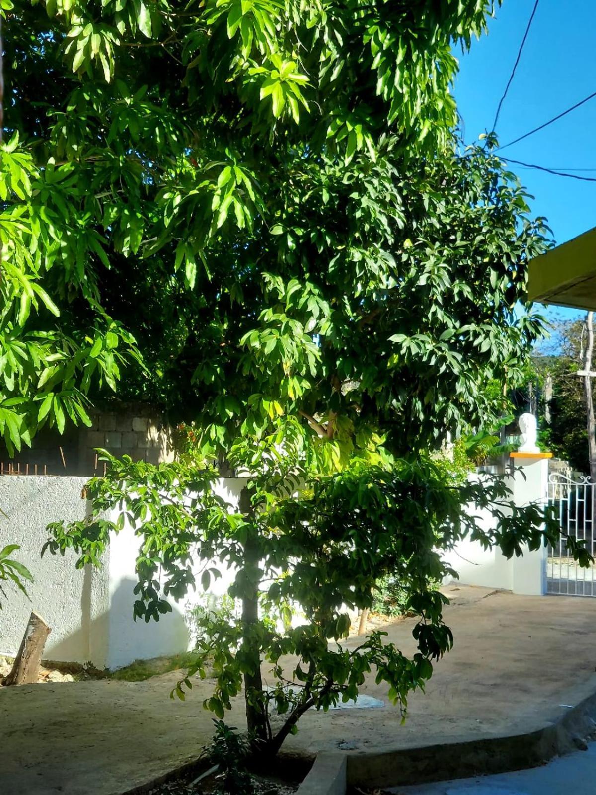 Cas Bed And Breakfast Corral Spring Bagian luar foto